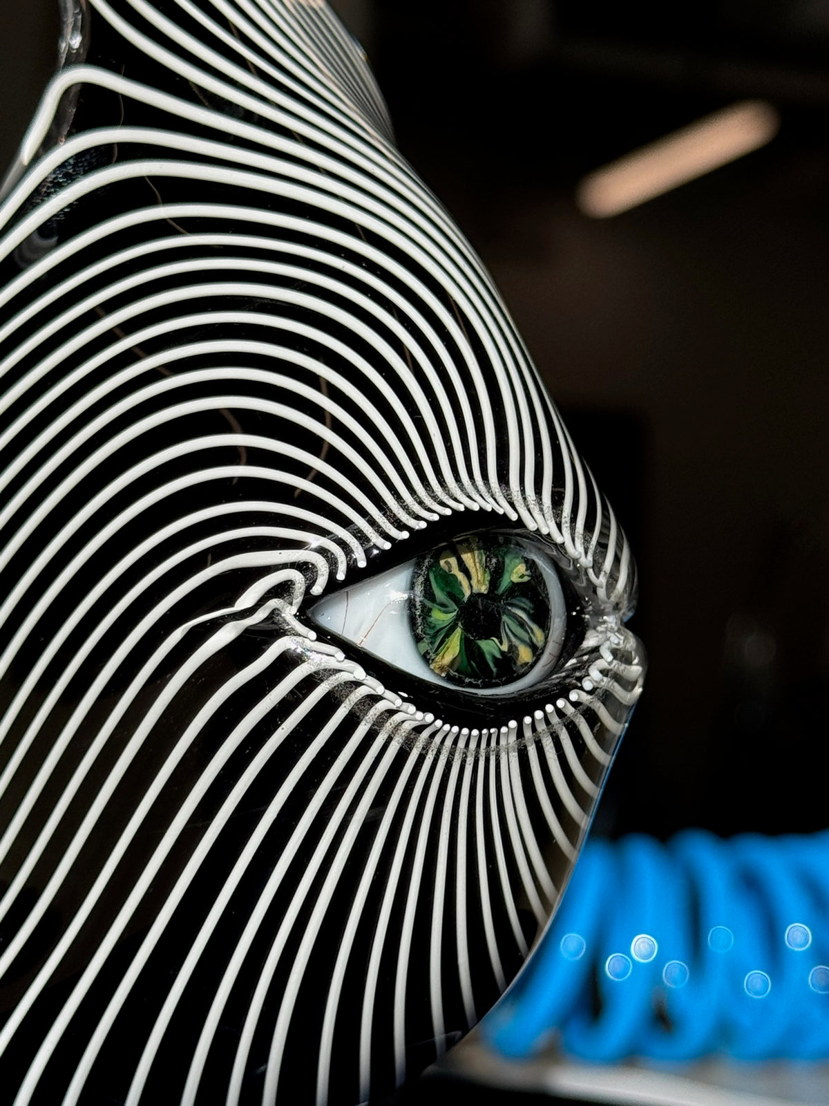 Eye of Sammi