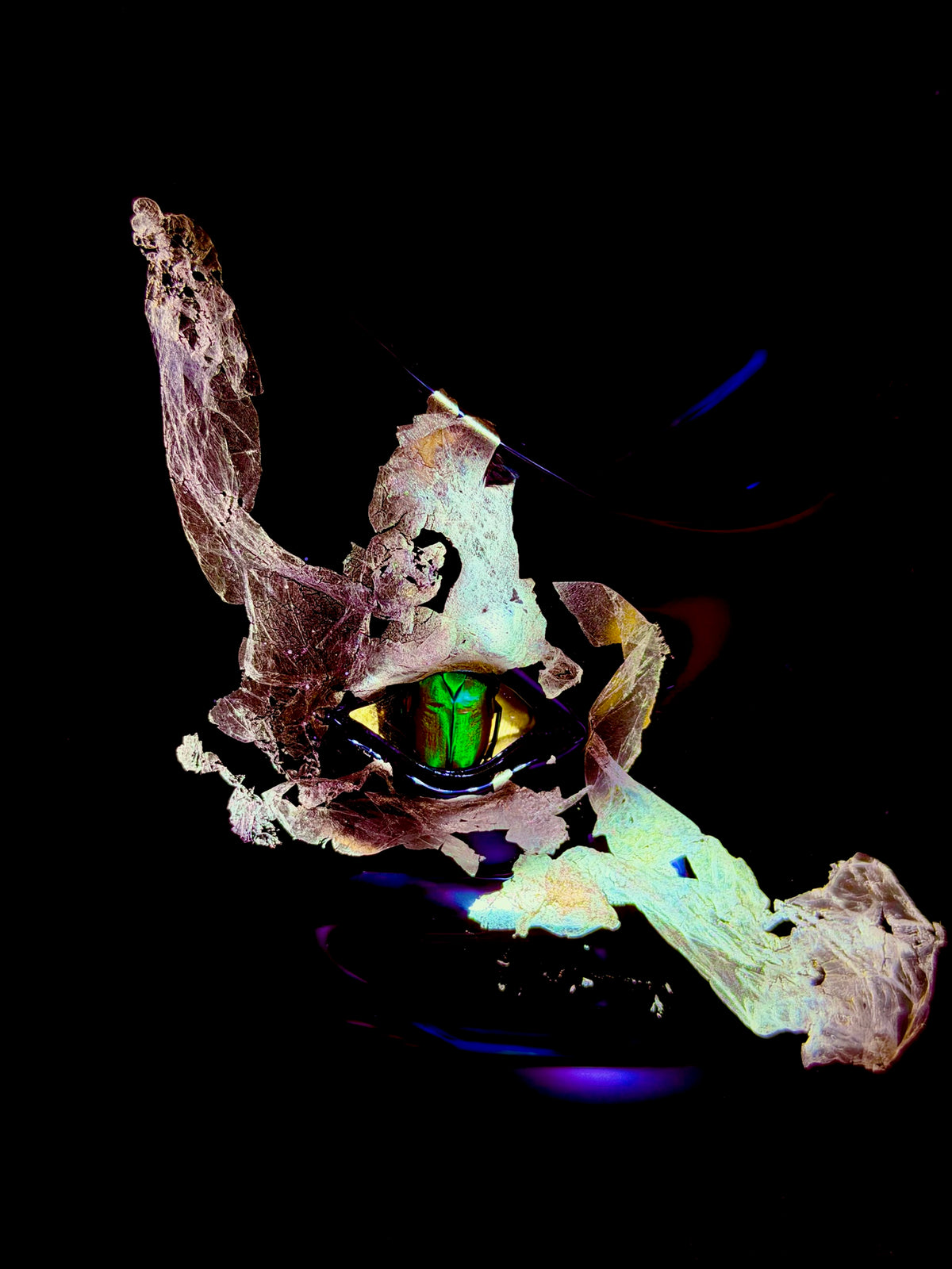 Eye of Anubis