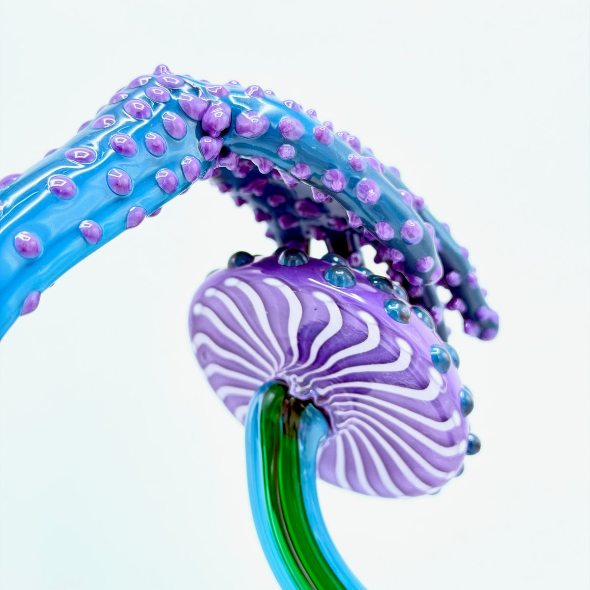 Mushroom Bag